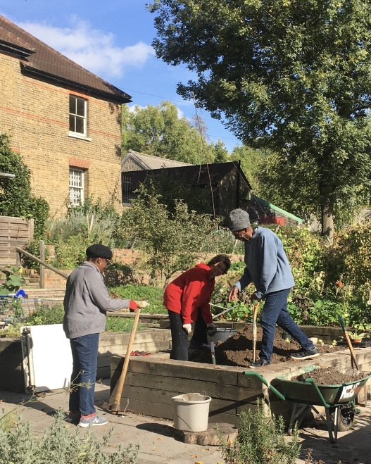 MindFood raised bed management