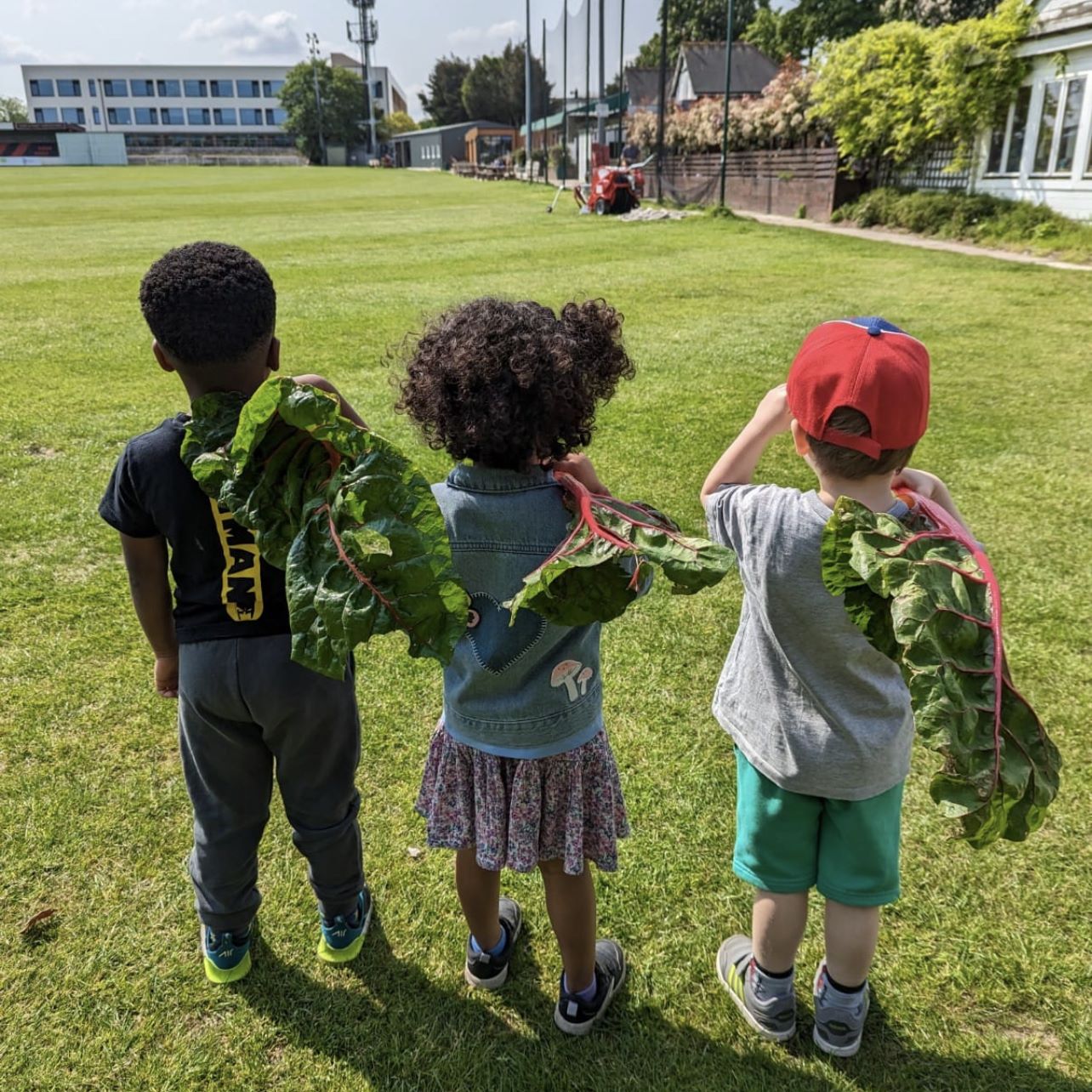 Children with home grown rhubarb as part of a Studio Cultivate programme