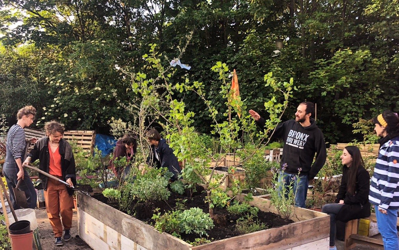 A group of adults stood around a raised bed in a garden or park setting. the raised bed has a selection of plants. One person is using a spade and is adding compost to the raised bed.