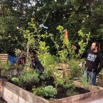 A group of adults stood around a raised bed in a garden or park setting. the raised bed has a selection of plants. One person is using a spade and is adding compost to the raised bed.