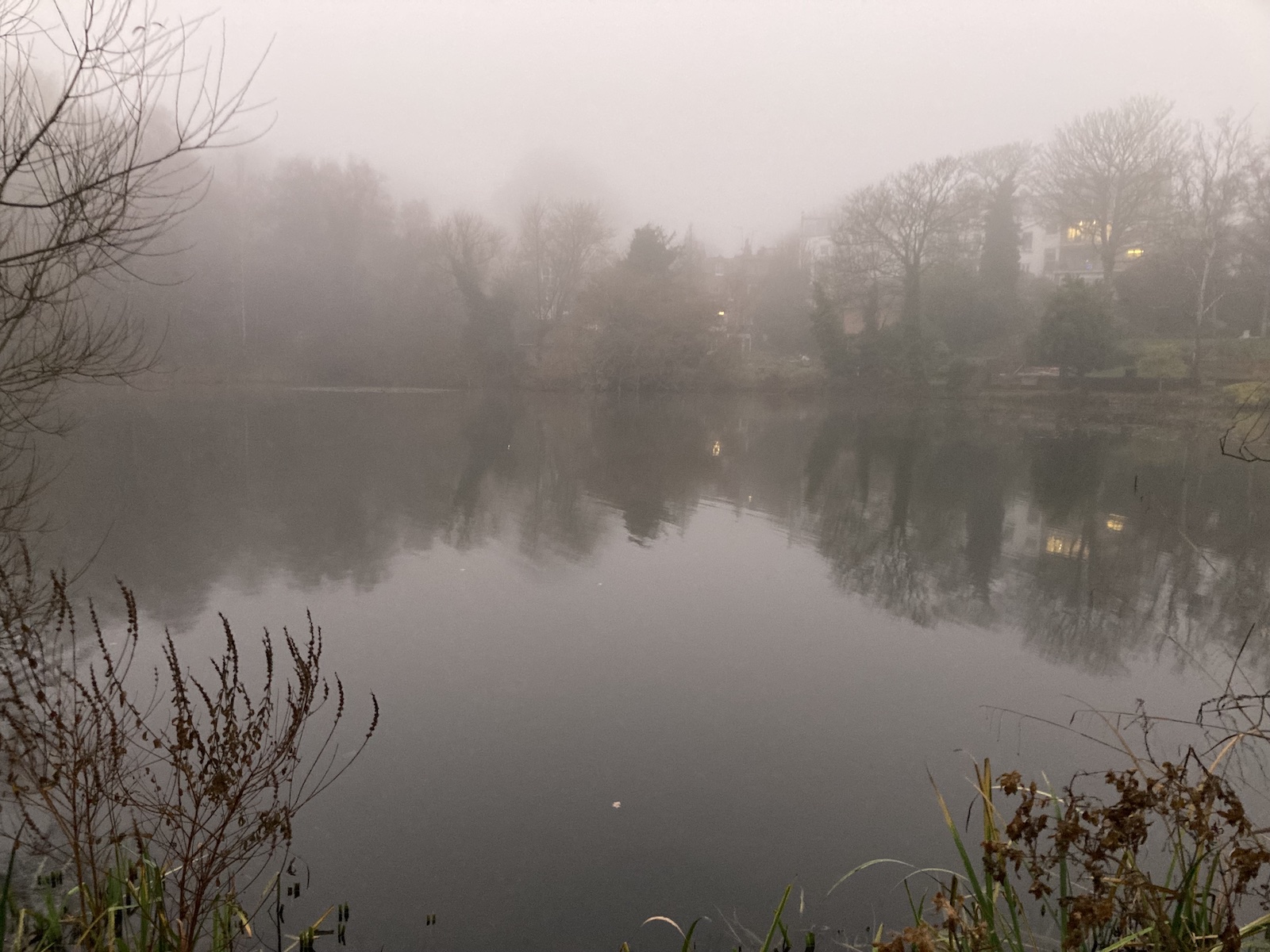 Artecology walk #1 Midwinter on the Welsh Harp Credit: Rhona Eve Clews