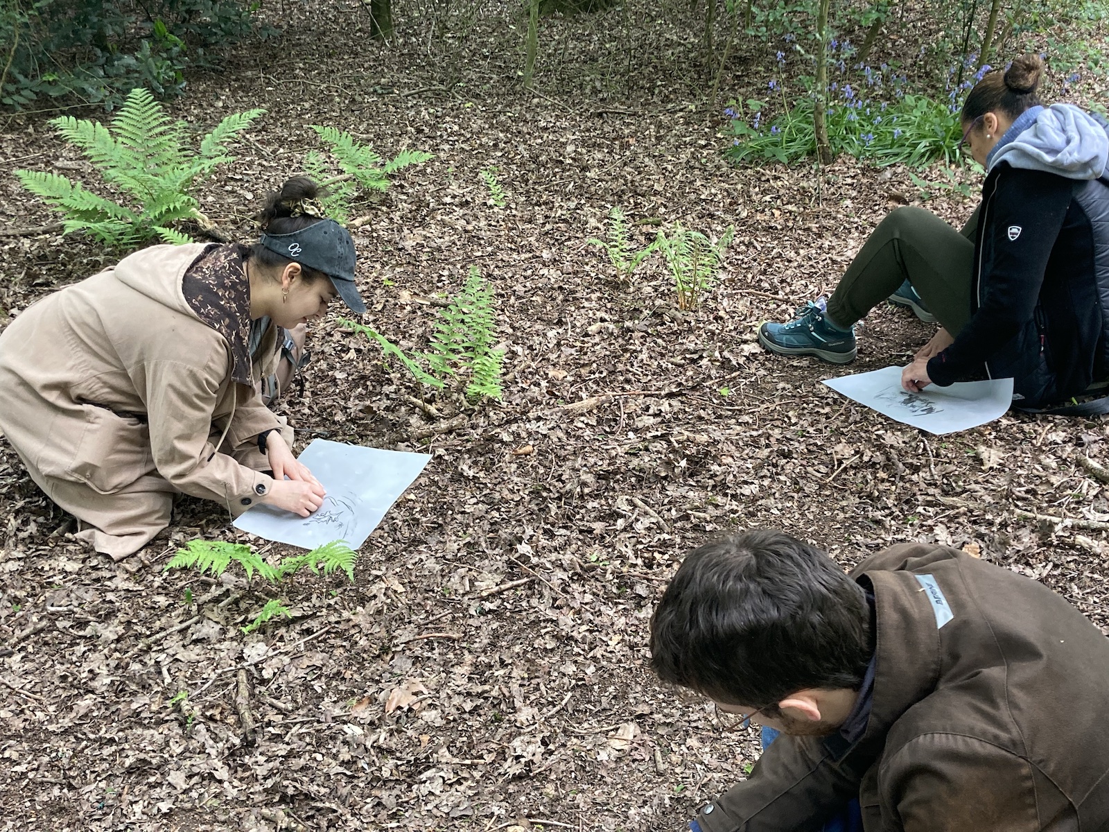 Life beneath out feet on Artecology walk #4 Finding Ground in Fryent Credit: Rhona Eve Clews